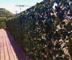 Highest-Quality Privacy Fence For Sale