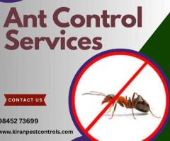 Ant Control Services in Bangalore | Protect Your Home