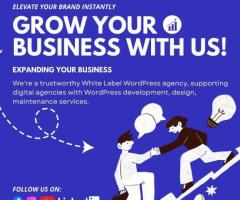 White Label WordPress Development Services | Stellites