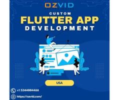 Flutter App Development Company in USA | OZVID Technologies