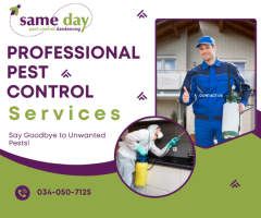 Fast & Reliable Pest Control Dandenong – Call 0340507125 for Same-Day Service