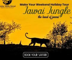 Experience the Best Leopard Safari at Kolar Hills Jawai Resort