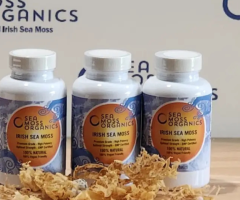 Buy Wildcrafted Irish Sea Moss – 100% Natural & Nutrient-Rich