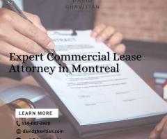 Expert Commercial Lease Attorney in Montreal | Foreign Investments & Collections Lawyers