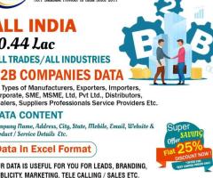 Download B2B Companies Database in Excel Format