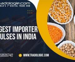 Largest Importer Of Pulses In India