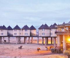 Explore the Best Mombasa Safari Packages