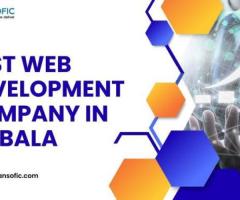 Best Web Development Company in Ambala | Custom Websites & E-commerce Solutions