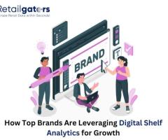 How Top Brands Are Leveraging Digital Shelf Analytics for Growth