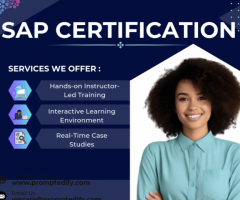 SAP ERP Training & Certification in Cape Town at Prompt Edify