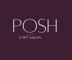 pet grooming in sharjah