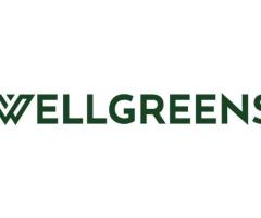 Stay Legal, Stay Safe: Shop At Wellgreens, A Licensed Dispensary Encinitas!