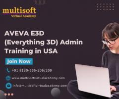 AVEVA E3D (Everything 3D) Admin Training in USA