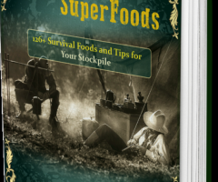 The Lost SuperFoods