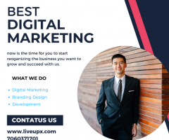 Best Digital Marketing Company in Greater  Noida - Liveupx