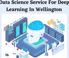 Data Science Service For Deep Learning In Wellington