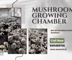 Take Install Mushroom Growing Chamber |Awotech