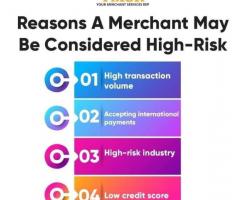Safeguard Your Business with a High Risk Merchant Account - 1