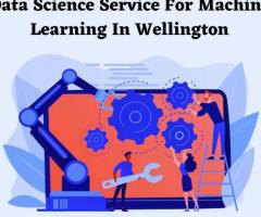 Data Science Service For Machine Learning In Wellington