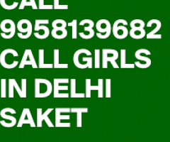 (9953906436 ), Low Rate Call Girls In Shastri Park, Delhi