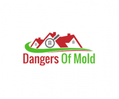Professional Home Mold Testing Service | Dangers of Mold