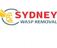 Sydney Wasp Removal - 1