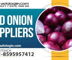 Red Onion Suppliers