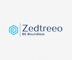 Outsourcing and Offshoring Consulting | Zedtreeo