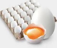 Egg Wholesale Price in Namakkal | Egg Wholesalers Namakkal