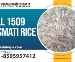 Sell 1509 Basmati Rice