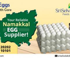 Namakkal Egg Dealer | Namakkal Egg Suppliers | Poultry Farm