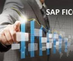 Best SAP FICO Course in Delhi, Seelampur, Accounting,