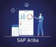 SAP Ariba Training - 1