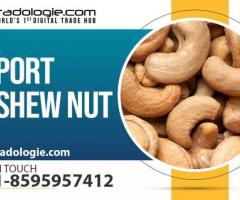 Export Cashew Nut