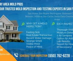 BayAreaMoldPros - Your Trusted Mold Inspection and Testing Experts in San Francisco