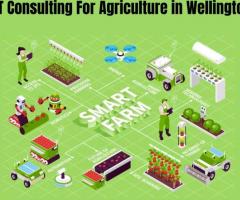 IoT Consulting For Agriculture in Wellington