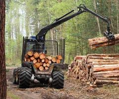 BW Timber Harvesting: Clear Your Lot for a Greener Future! - 1