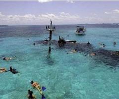 Snorkeling in cancun