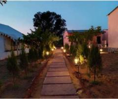 Experience Wildlife with Best Jungle Resorts in Ranthambore