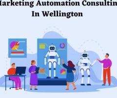 Marketing Automation Consulting In Wellington
