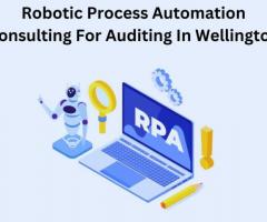 Robotic Process Automation Consulting For Auditing In Wellington