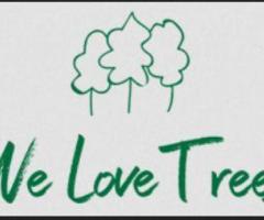 We Love Trees - Arborist and Tree Surgeon