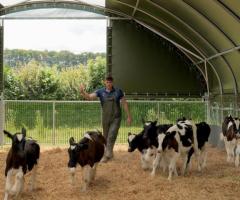Livestock Housing - Cheviot Sheep Tunnel | McGregor Agri