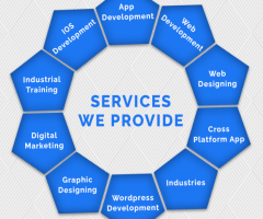 Best SEO Service Company in India
