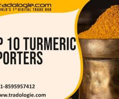 Top 10 Turmeric Importers