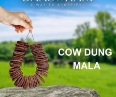 Making Cow Dung Cake  In Andhra Pradesh