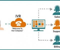 Hosted IVR Solutions for Your Business Automation