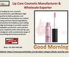 Lip Care Cosmetic Manufacturer & Wholesale Exporter