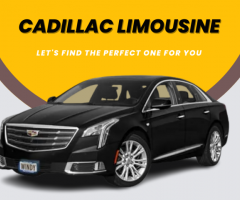 Cadillac limousinae