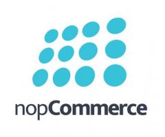 Best nopCommerce Development Company - 1